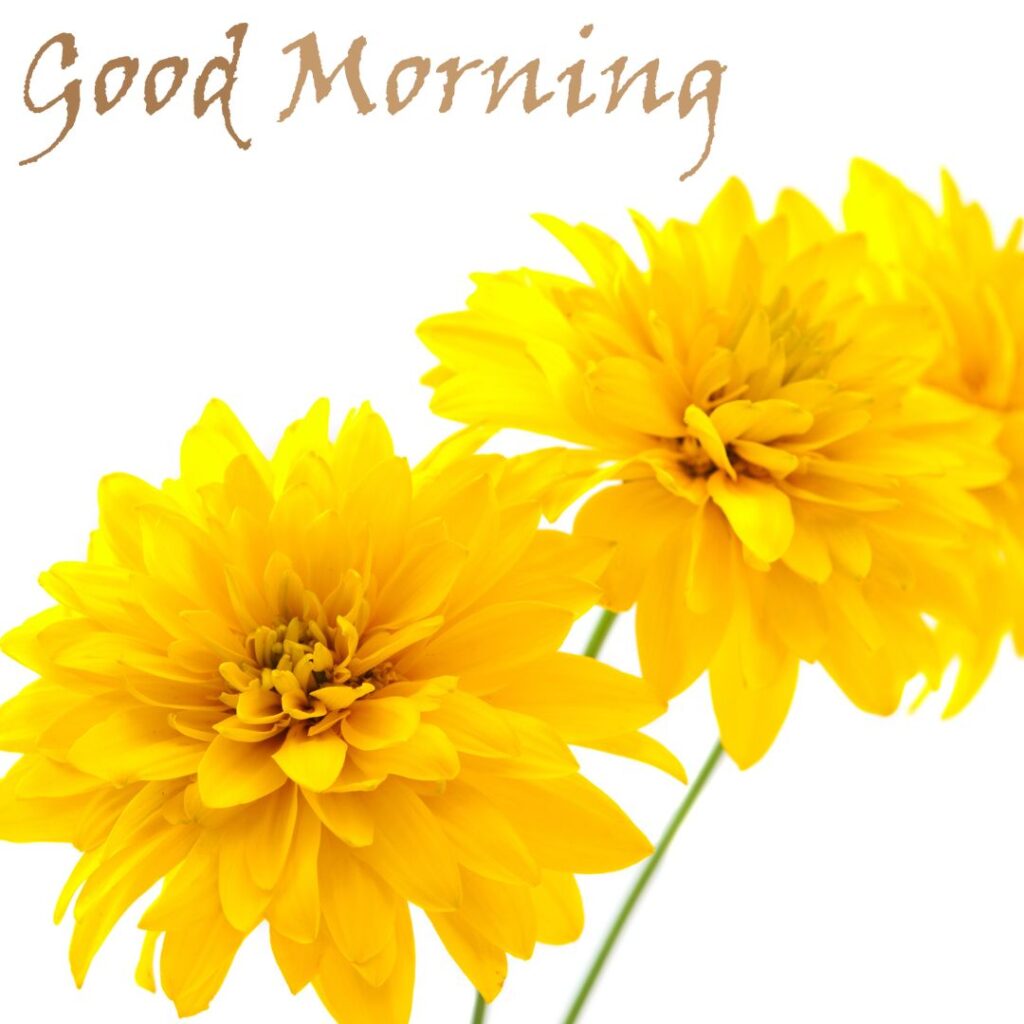 Good Morning Images Hd