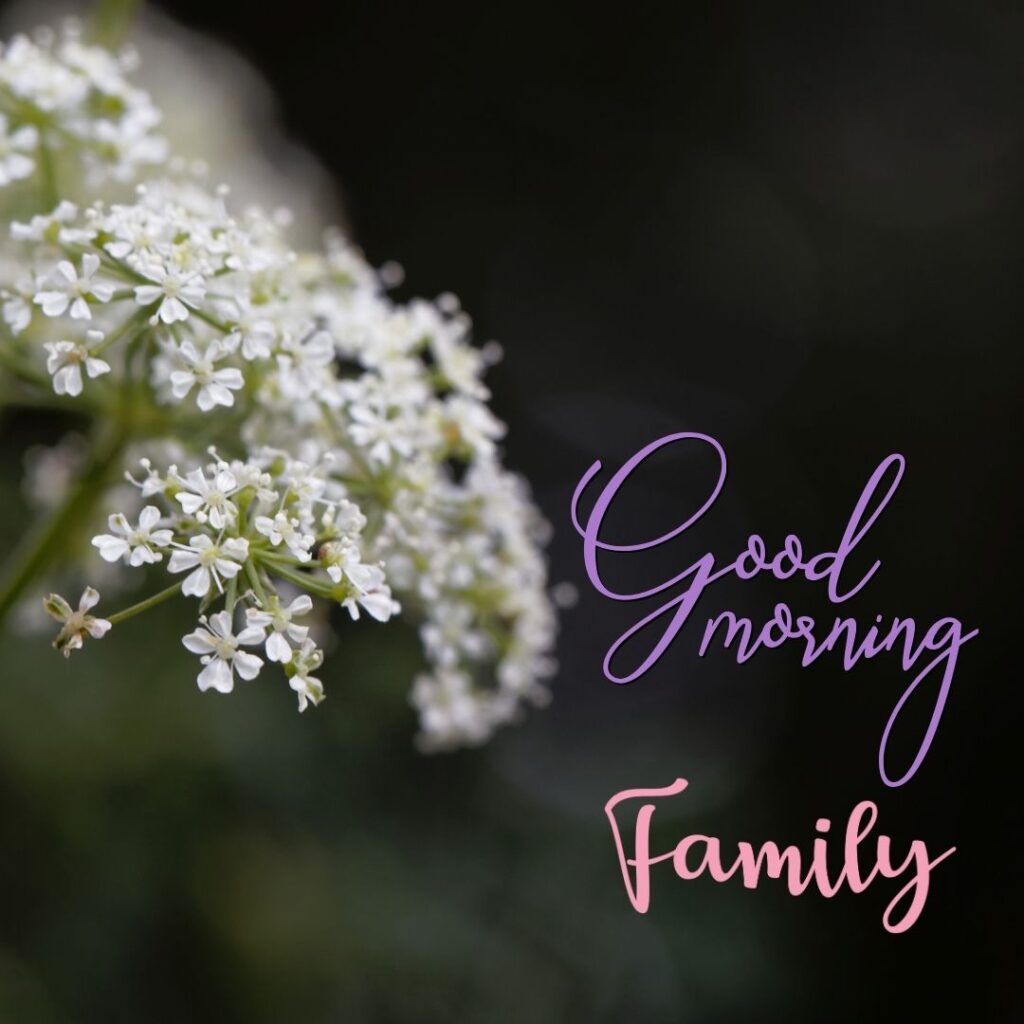 Good Morning Images Hd