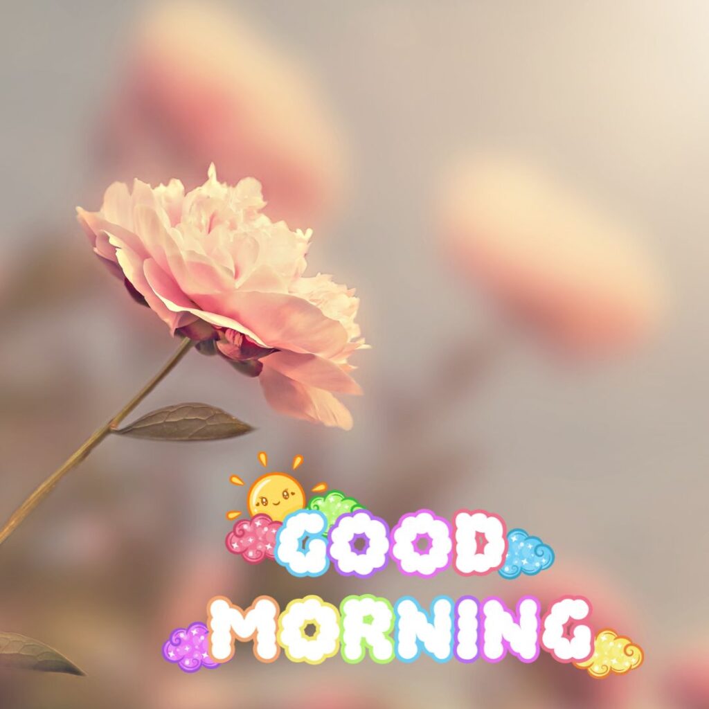 Good Morning Image Hd