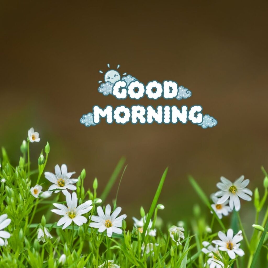 Good Morning Images Hd