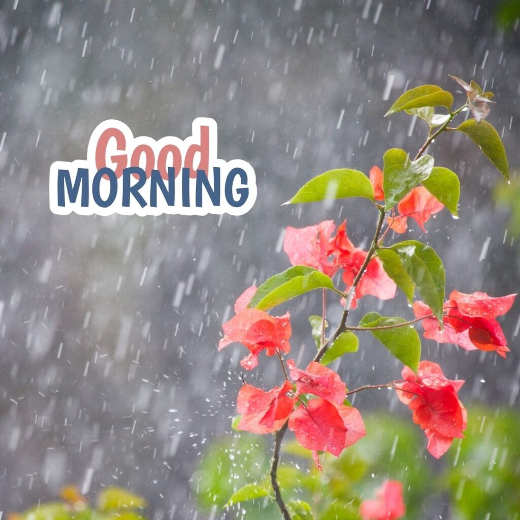 Good Morning Images Hd