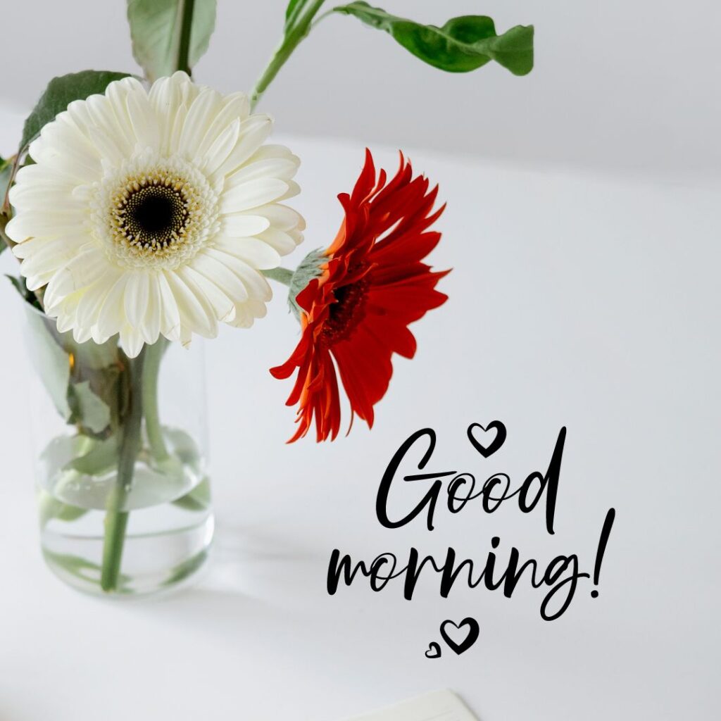 Good Morning Images Hd for her