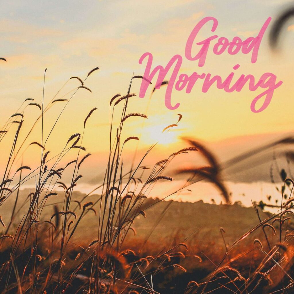 Good Morning Images Hd