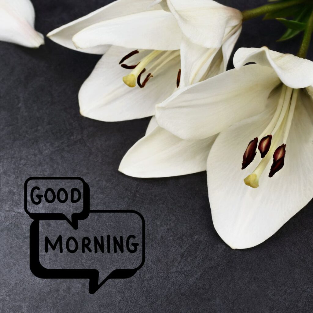 Good Morning Images Hd 1080p download