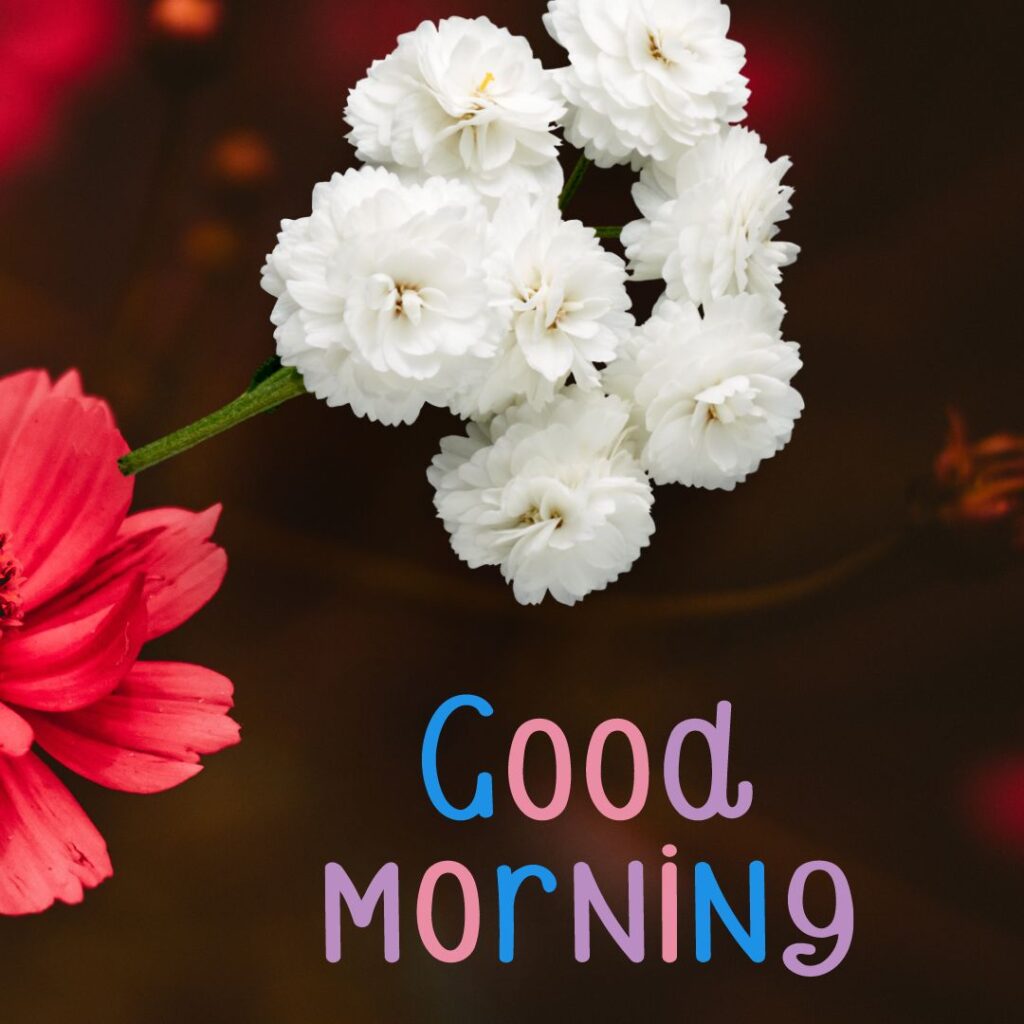 Good Morning Images Hd