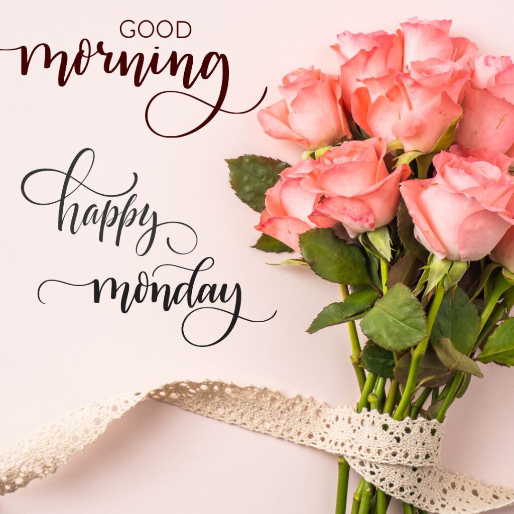 New Good Morning Monday Rose Images