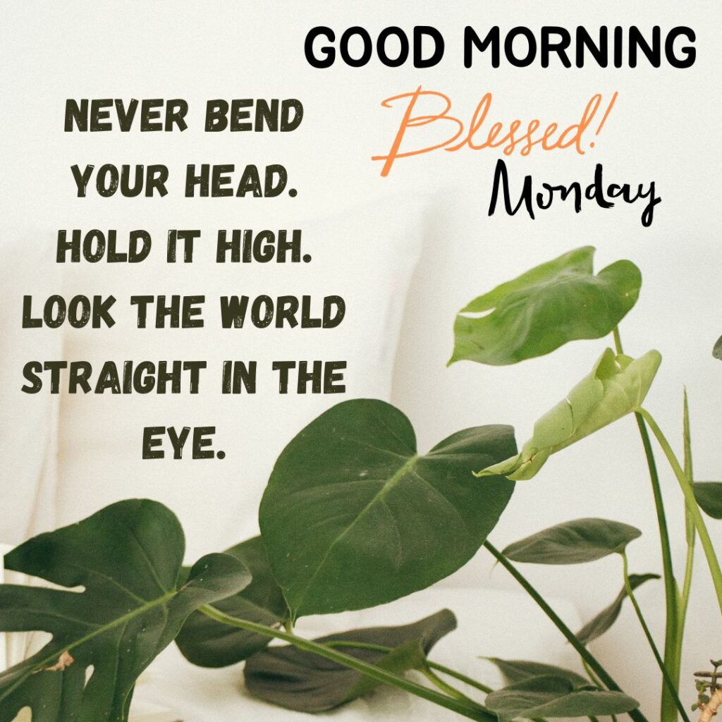 Good Morning Monday Quotes and Images