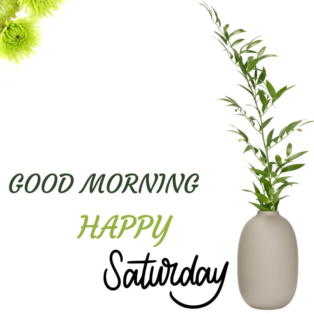 Happy Good Morning Saturday Images