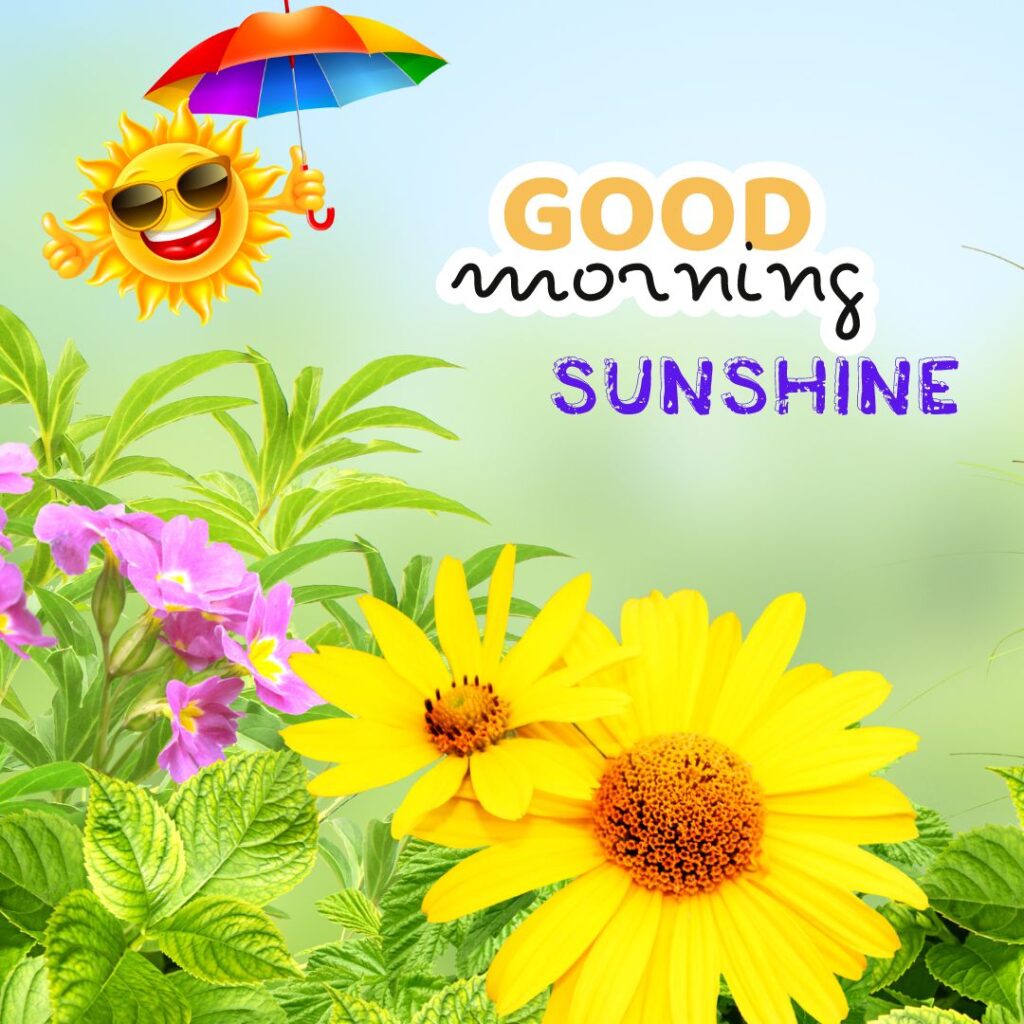 Good Morning Sunshine Images