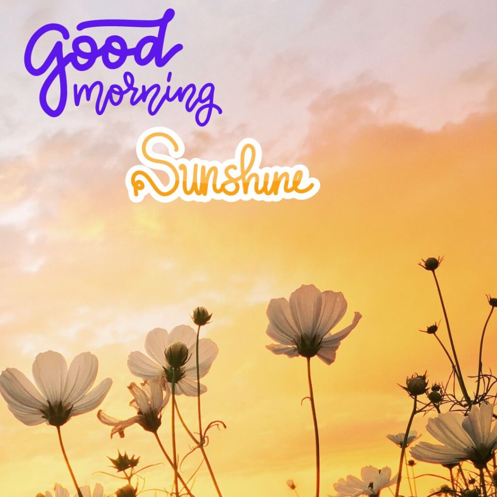 Good Morning Sunshine Images