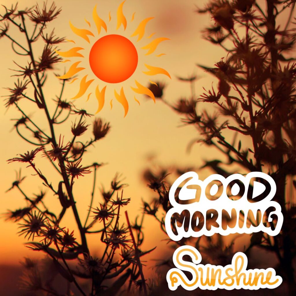 Good Morning Sunshine Images