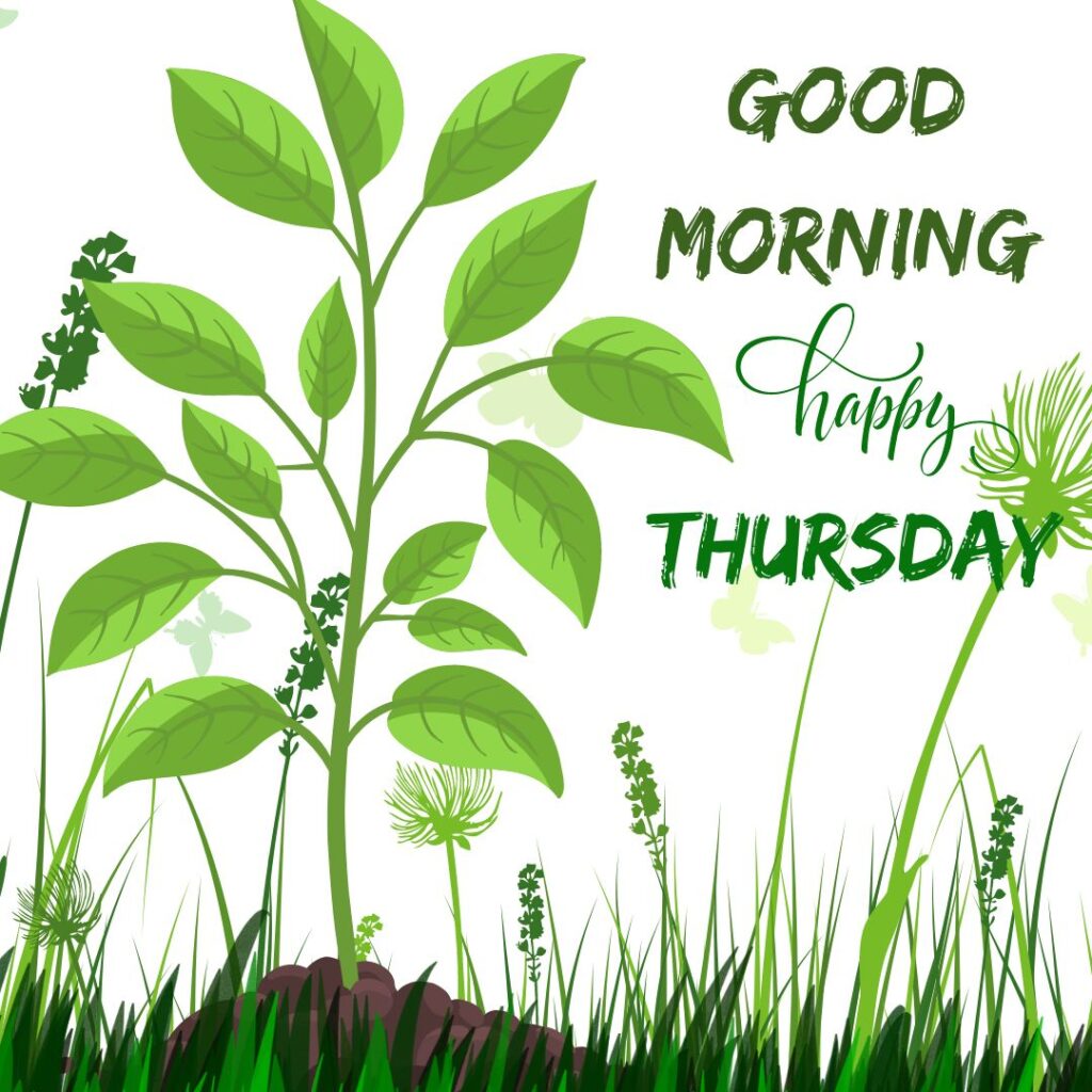 Good Morning Thursday Nature Images