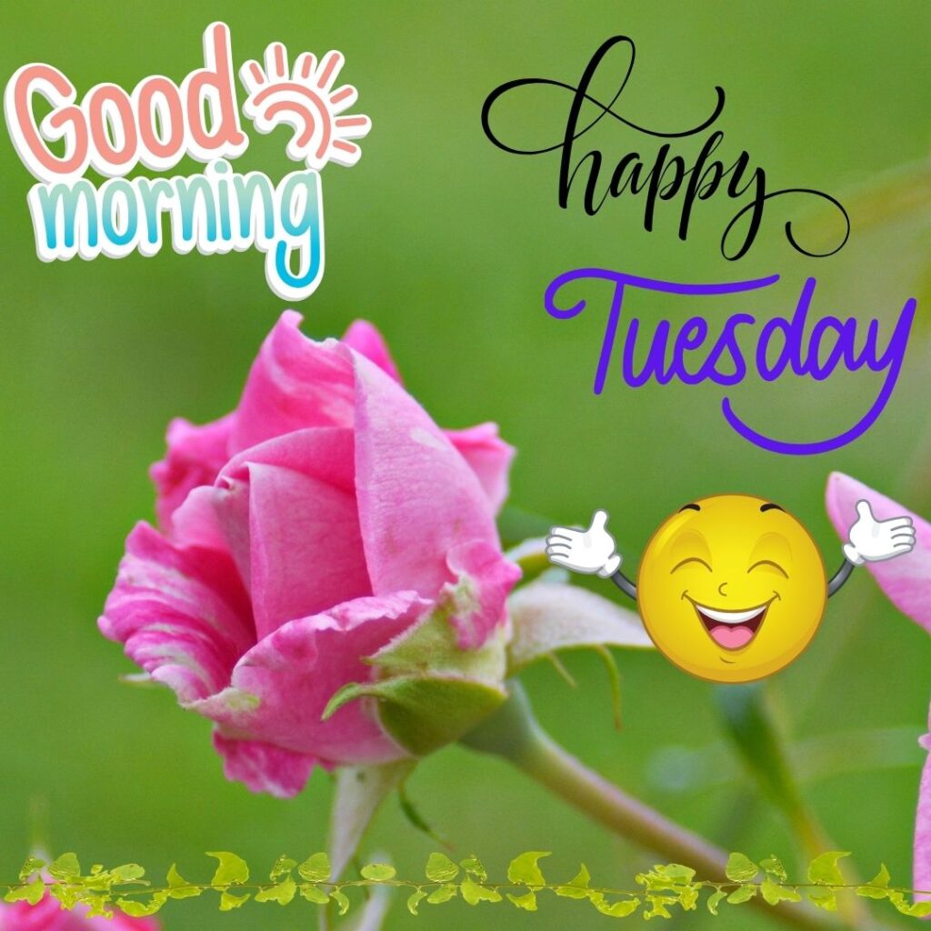 Smiley Good Morning Tuesday Images