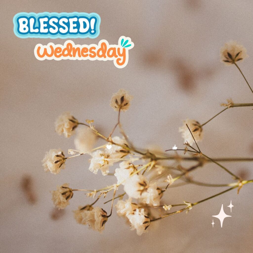 Good Morning Wednesday Blessing Images for him