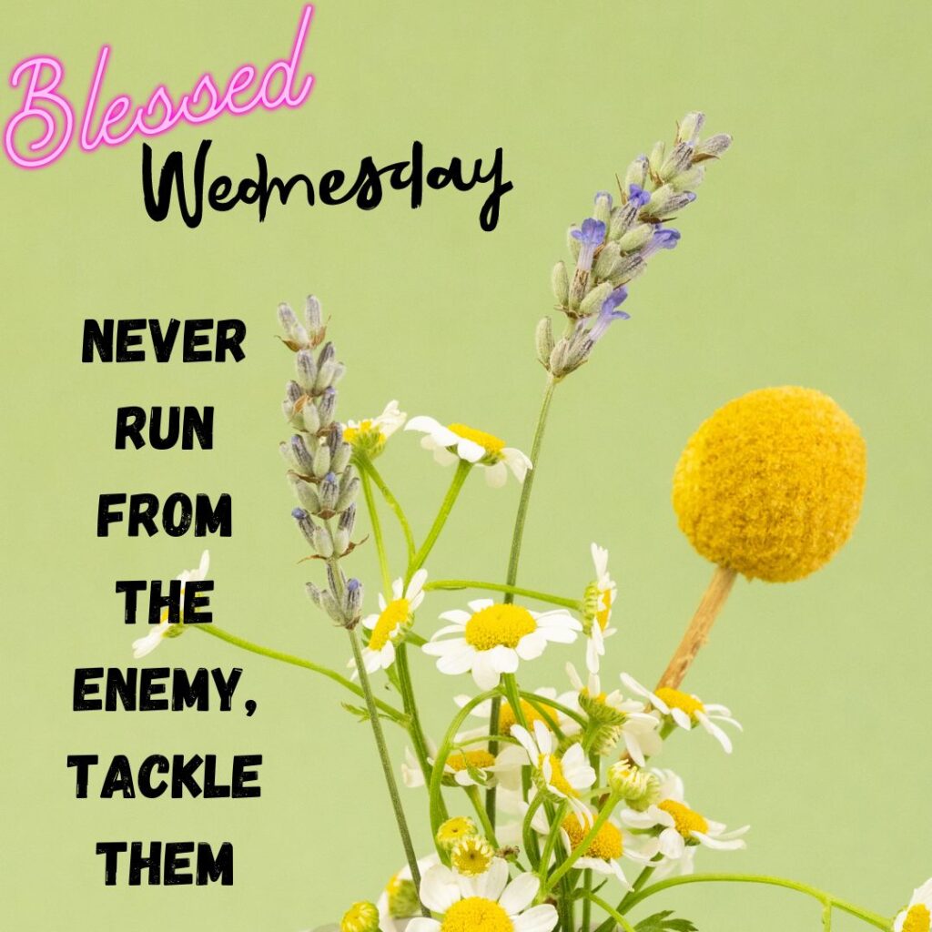 Good Morning Wednesday Quotes for her