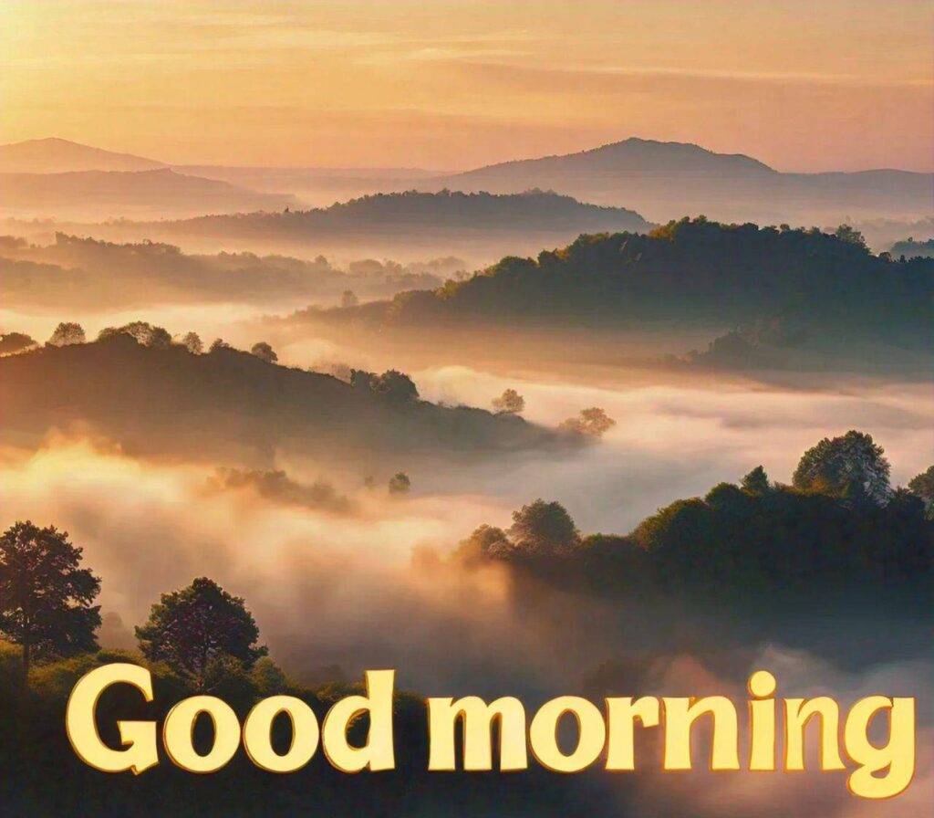 GOOD MORNING IMAGES HD