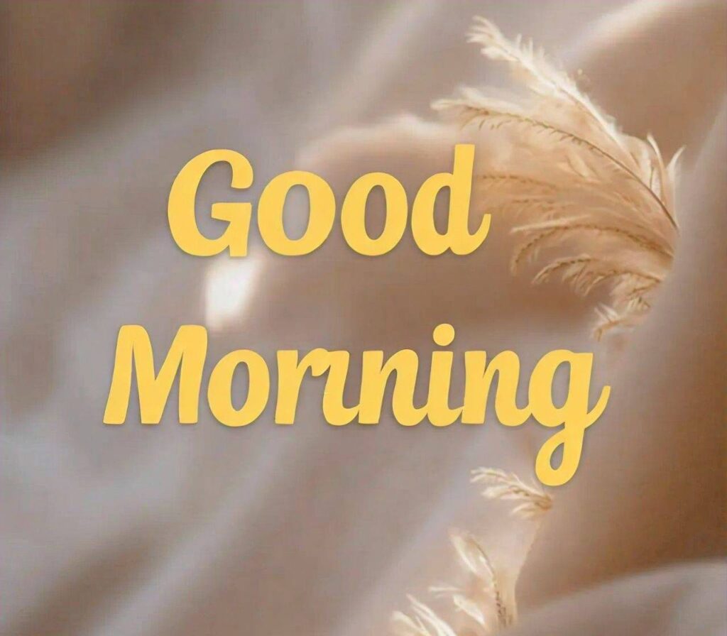 GOOD MORNING IMAGES HD