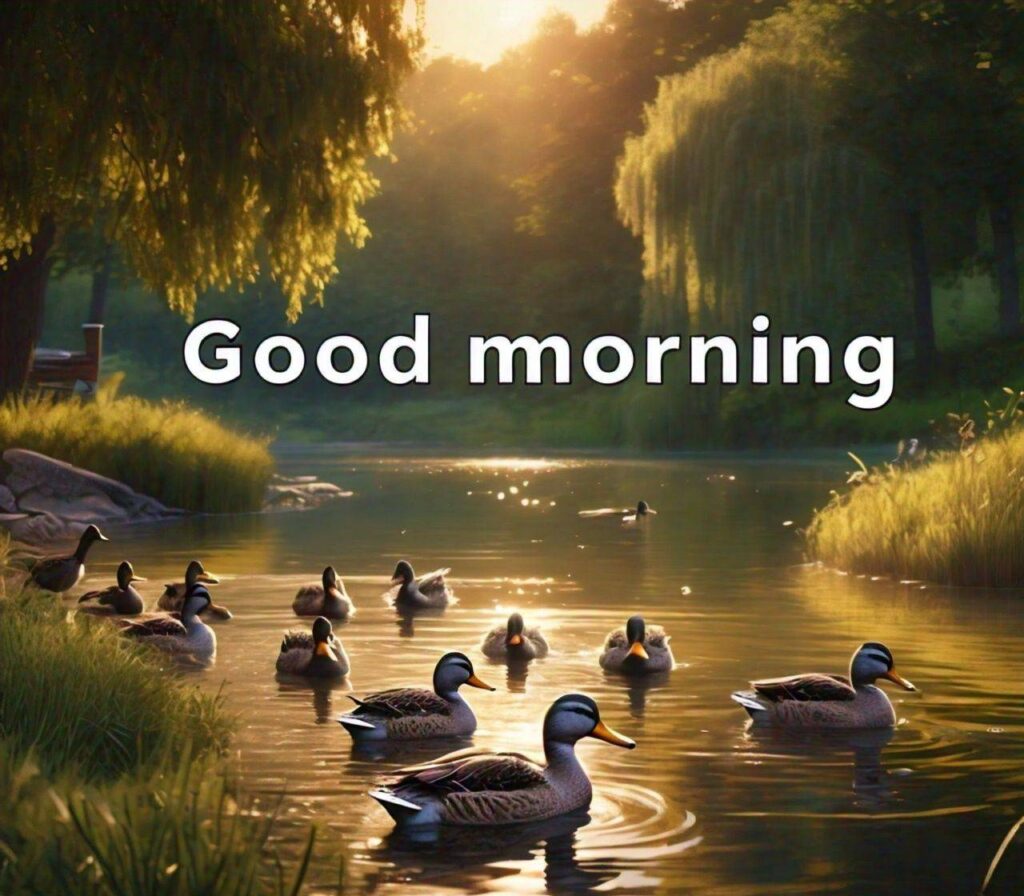 Images of Good Morning