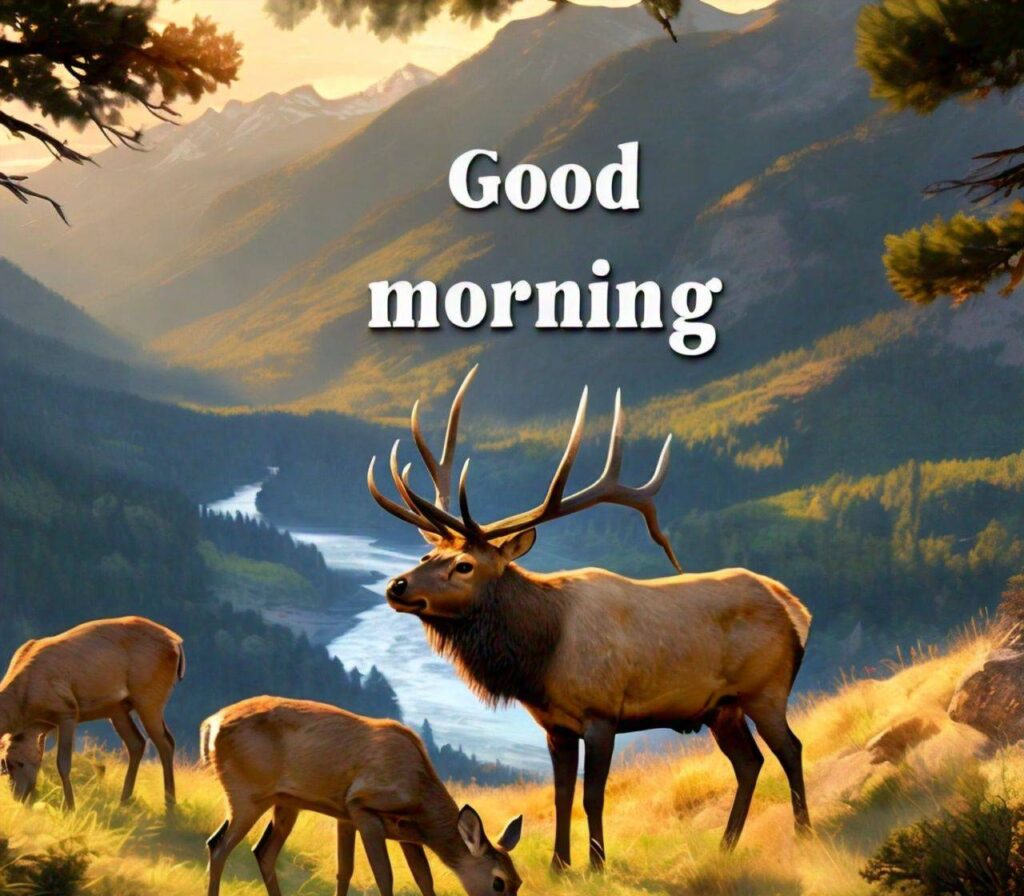 Images of Good Morning